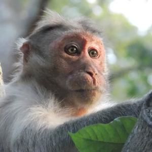 Meet your Posher, Libby